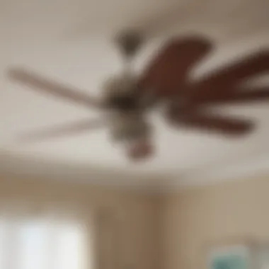 Efficient Airflow Ceiling Fan Efficient Airflow Ceiling Fan