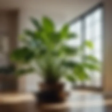 Optimizing Indoor Plant Growth with Proper Lighting Brightly lit indoor plant with green leaves
