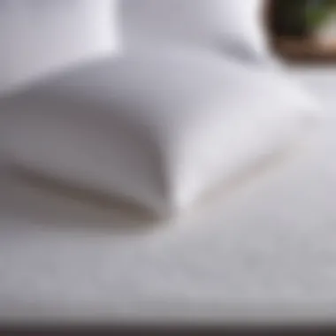 Precision Fit Sheets for a Seamless Look Perfectly Fitted Sheet on Mattress