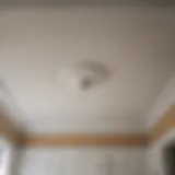 Clean bathroom ceiling free from mold