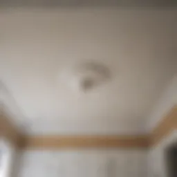 Clean bathroom ceiling free from mold