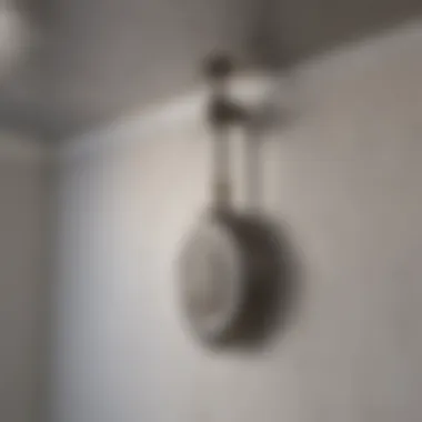 Tools for cleaning mold from ceilings