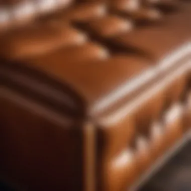 Luxurious Leather Detailing Close-up of high-quality leather upholstery on storage bench