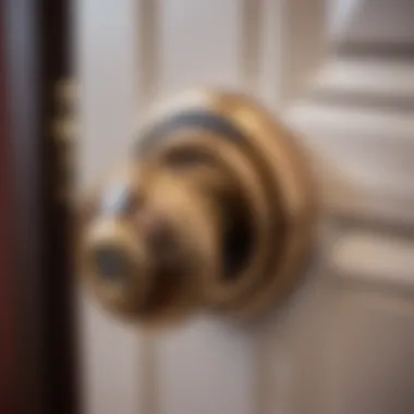 Smart Technology Integrated Door Knob with Lock