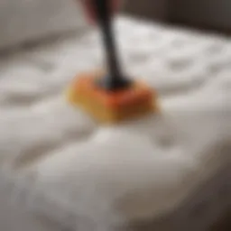A soft brush being used to gently clean a pillow top mattress