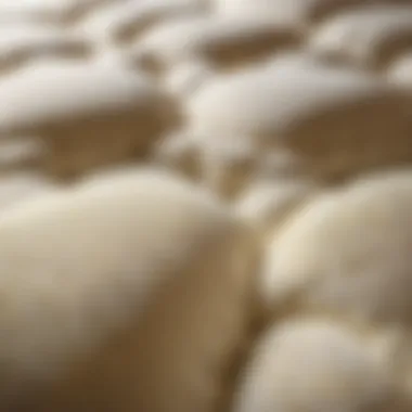 Luxurious Fabric Detail of Futon Mattress Close-up of high-quality futon mattress fabric texture