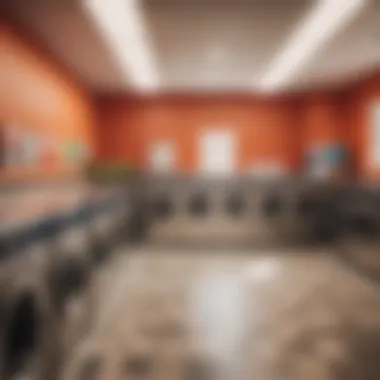 Modern Laundromat Ambiance Laundromat interior design