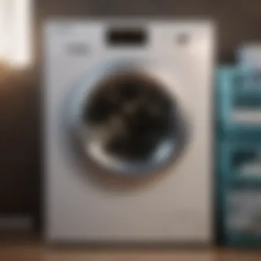 Thorough Interior Cleaning of Laundry Machine Deep cleaning laundry machine interior