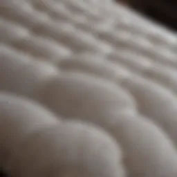 Luxurious Mattress Fabric Texture
