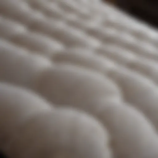 Luxurious Mattress Fabric Texture