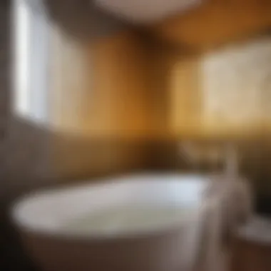 Preventive Measures Against Mold Growth Preventive Measures Against Mold Growth