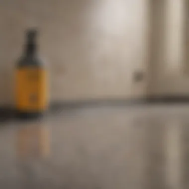 Benefits of Grout Sealant Infographic detailing the benefits of using grout sealant