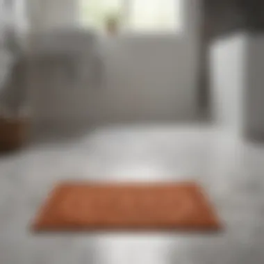 Striking Bathroom Floor with Mat A vibrant bathroom mat placed on a meticulously clean floor