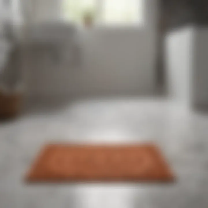 Striking Bathroom Floor with Mat A vibrant bathroom mat placed on a meticulously clean floor