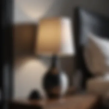 Contemporary black and white lamp showcasing minimalistic design