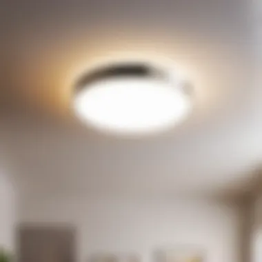 Contemporary LED Flush Mount Lighting
