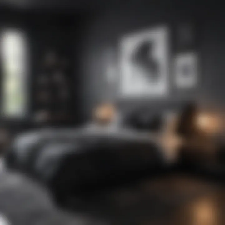 Contemporary Minimalist Black Bedroom