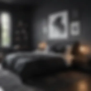 Simplicity and Elegance in Modern Setting Contemporary Minimalist Black Bedroom