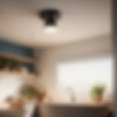Contemporary Track Lighting