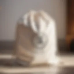 Stylish laundry bag with logo