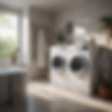 Seamless Chores Management in the Bathroom Convenient Laundry Integration