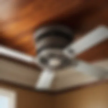 Understanding the Costs Involved in Exhaust Fan Replacement Cost Breakdown for Exhaust Fan Replacement