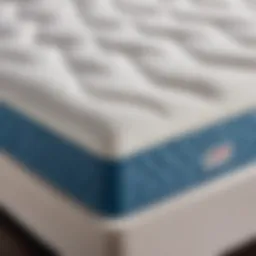 Eco-Friendly Costco Gel Memory Foam Mattress Topper