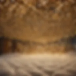 Craftsmanship in Motion