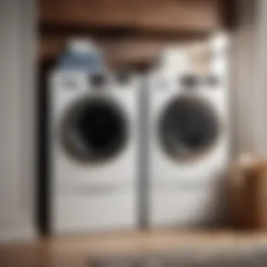Personalized Laundry Essentials Storage Custom Laundry Detergent Holder