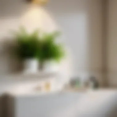 Greenery Infused Design Element Decorative Bathroom Wall Shelves with Plants