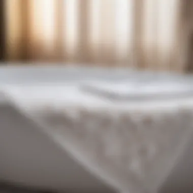 Intricate Lace Detail Bath Towel