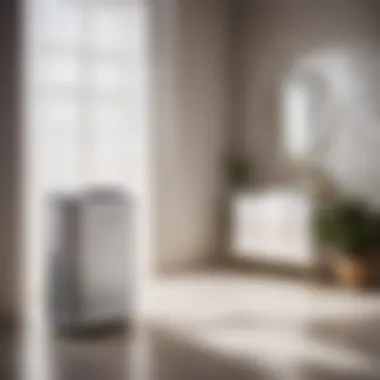 Dehumidifier controlling moisture levels