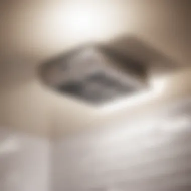 Efficient Ventilation System in Action Bathroom with effective ventilation system