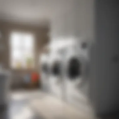 Cutting-Edge Digital Solutions for Laundry Services Digital Laundry Service Solutions