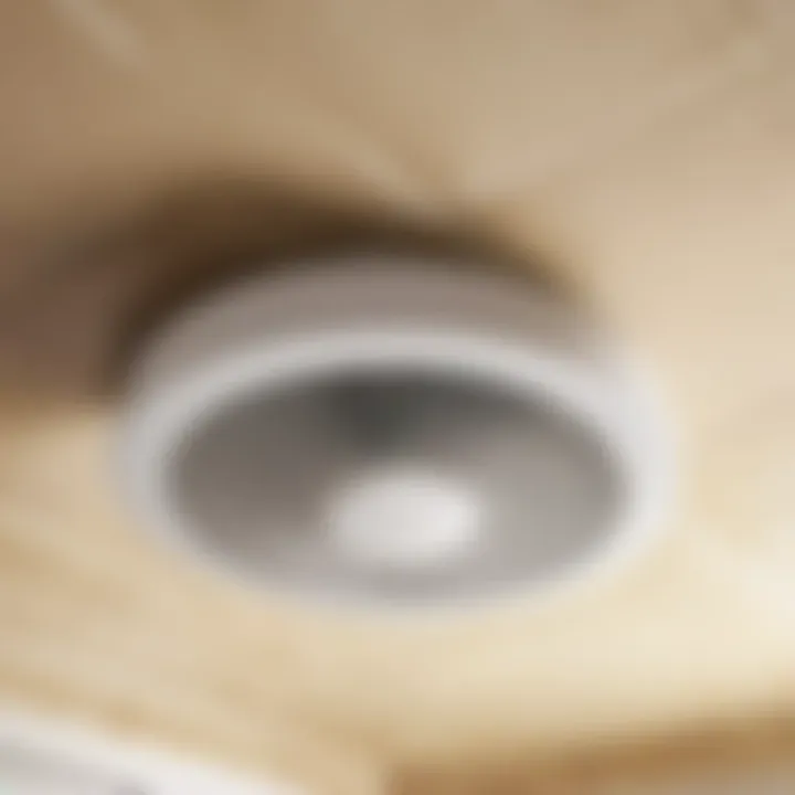 Dirty Bathroom Fan Lens Cover
