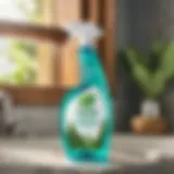 Refreshing Eucalyptus Multi-Surface Cleaner