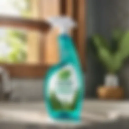 Refreshing Eucalyptus Multi-Surface Cleaner
