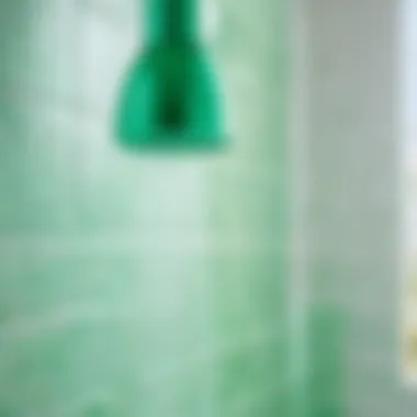 Revitalizing Minty Fresh Shower Spray Minty Fresh Shower Spray