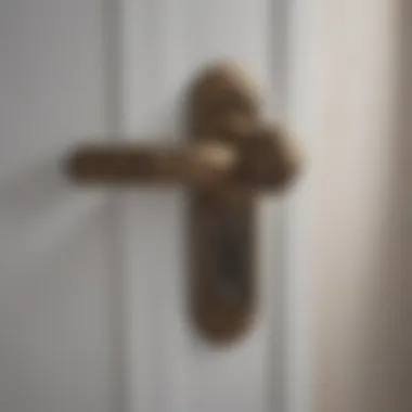 Elegant Bathroom Door Handle Designs A collection of elegant bathroom door handles showcasing modern design.