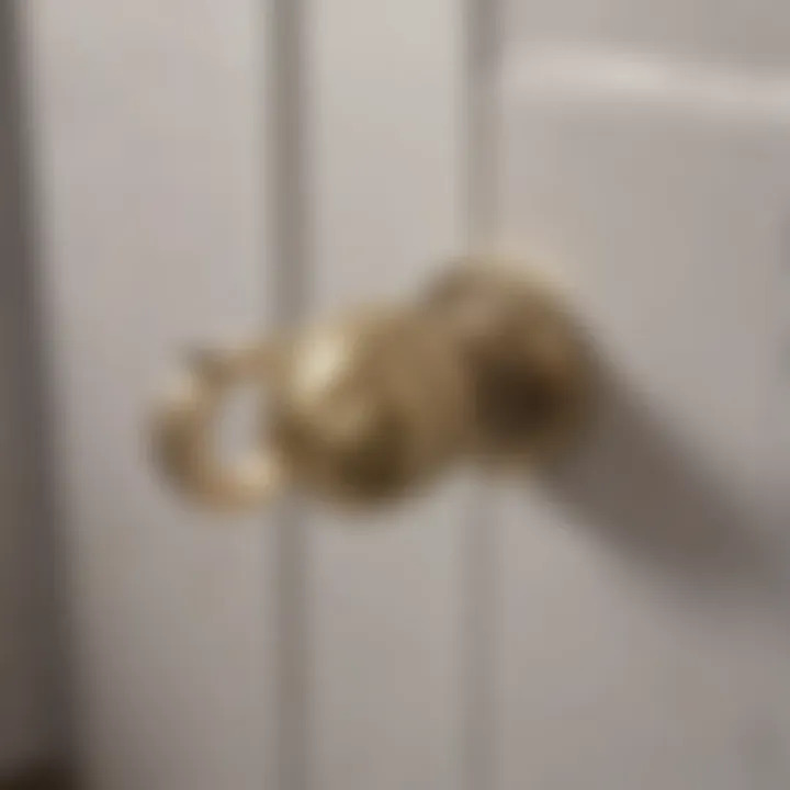 Functionality of Bathroom Door Handles A close-up view of a bathroom door handle emphasizing functionality and ease of use.