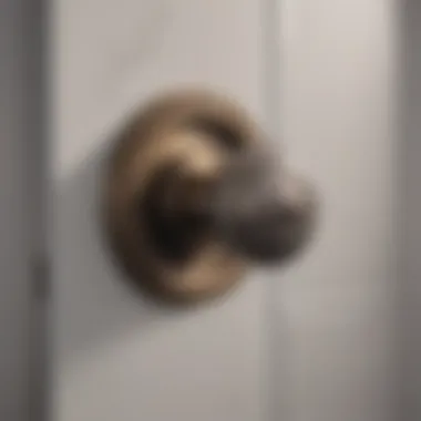 Trends in Bathroom Door Handle Design Innovative bathroom door handle designs reflecting current trends.