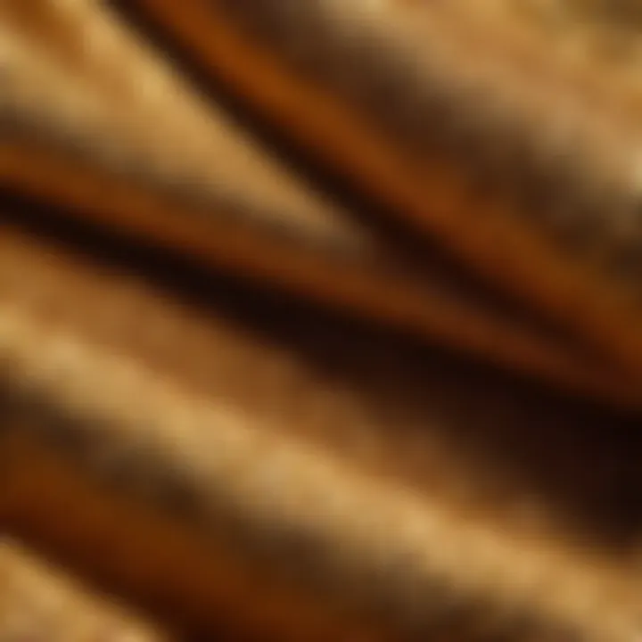 Elegant down coat fabric close-up
