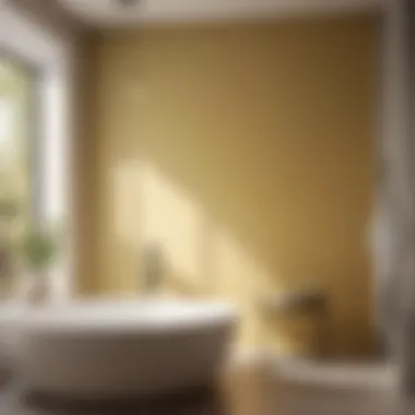 Resilient Coating for Long-lasting Walls Durable Bathroom Paint Finish