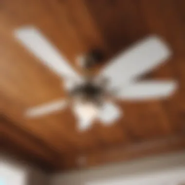 Durable Fan Housing Structure