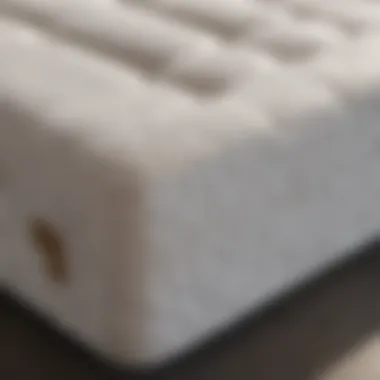 Durable and Long-lasting Gel Foam Sleeper Sofa Mattress Durable and Long-lasting Gel Foam Sleeper Sofa Mattress