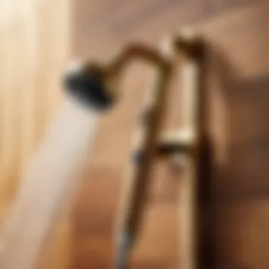 Sustainable Luxury in Bamboo Design Eco-Friendly Bamboo Handheld Shower Head