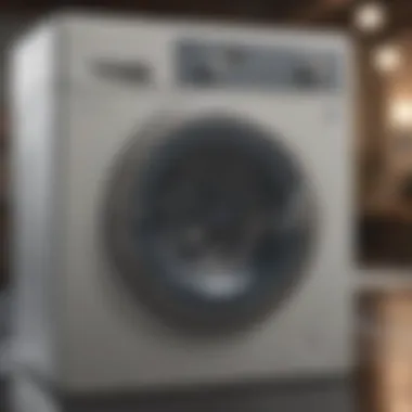 Eco-Friendly HE Detergent Packaging