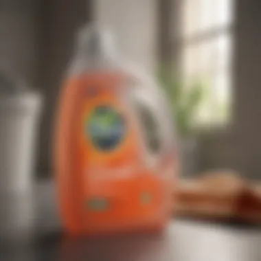 Sustainable Packaging Innovation Eco-Friendly Laundry Detergent in Sustainable Packaging