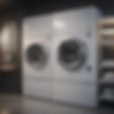 Innovative eco-friendly laundry technology