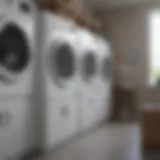 Innovative Eco-Friendly Laundry Service Eco-Friendly Laundry Service